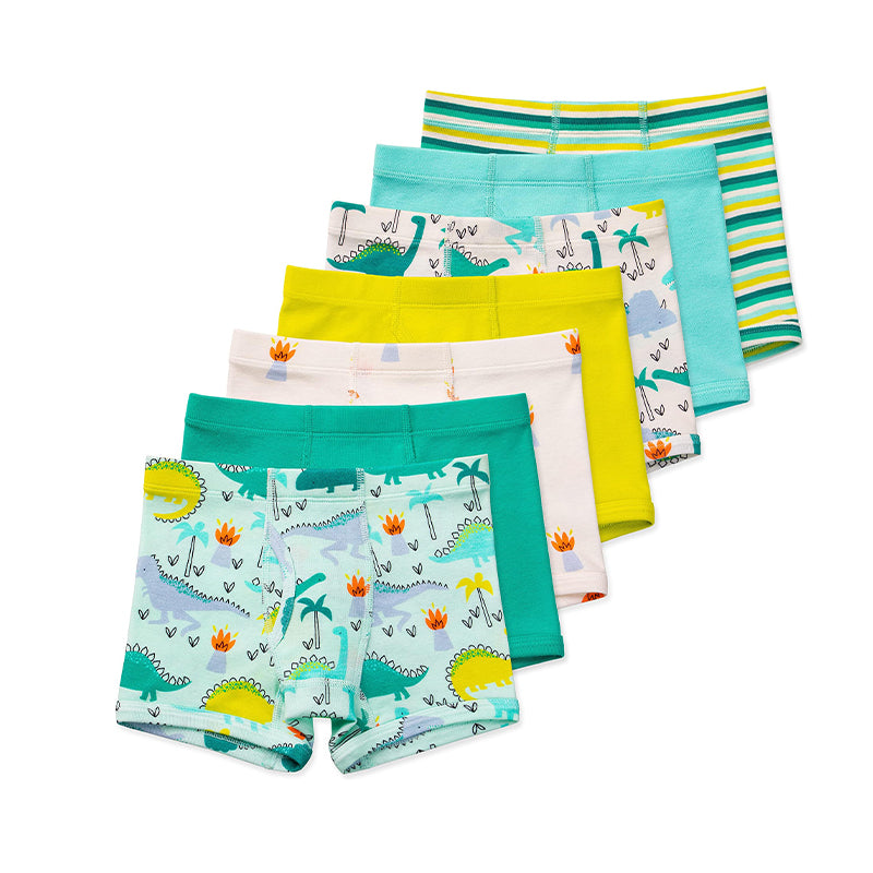 Five boys boxer briefs with dinosaur and striped prints