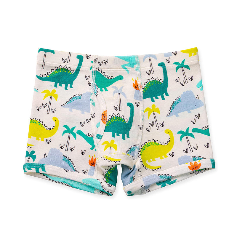 White boys boxer briefs with colorful dinosaur print