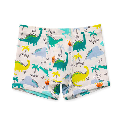 White boys boxer briefs with colorful dinosaur print